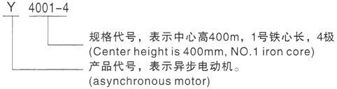 西安泰富西玛Y系列(H355-1000)高压YJTG-180L-4A/22KW三相异步电机型号说明