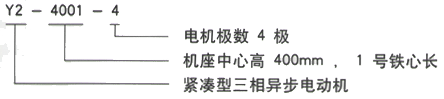 YR系列(H355-1000)高压YJTG-180L-4A/22KW三相异步电机西安西玛电机型号说明